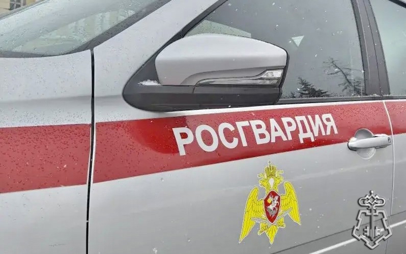 Сотрудники Росгвардии задержали подозреваемого в убийстве во Владимирской области