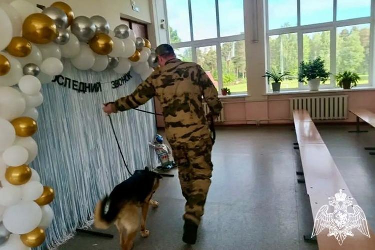 Росгвардейцы обеспечили безопасность во время проведения «Последнего звонка» во Владимирской области