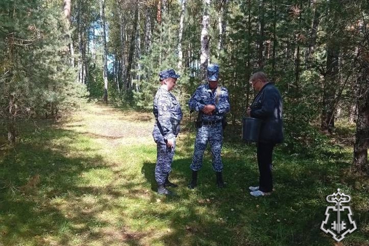 Во Владимирской области сотрудники Росгвардии помогли найти пропавшую в лесу пенсионерку